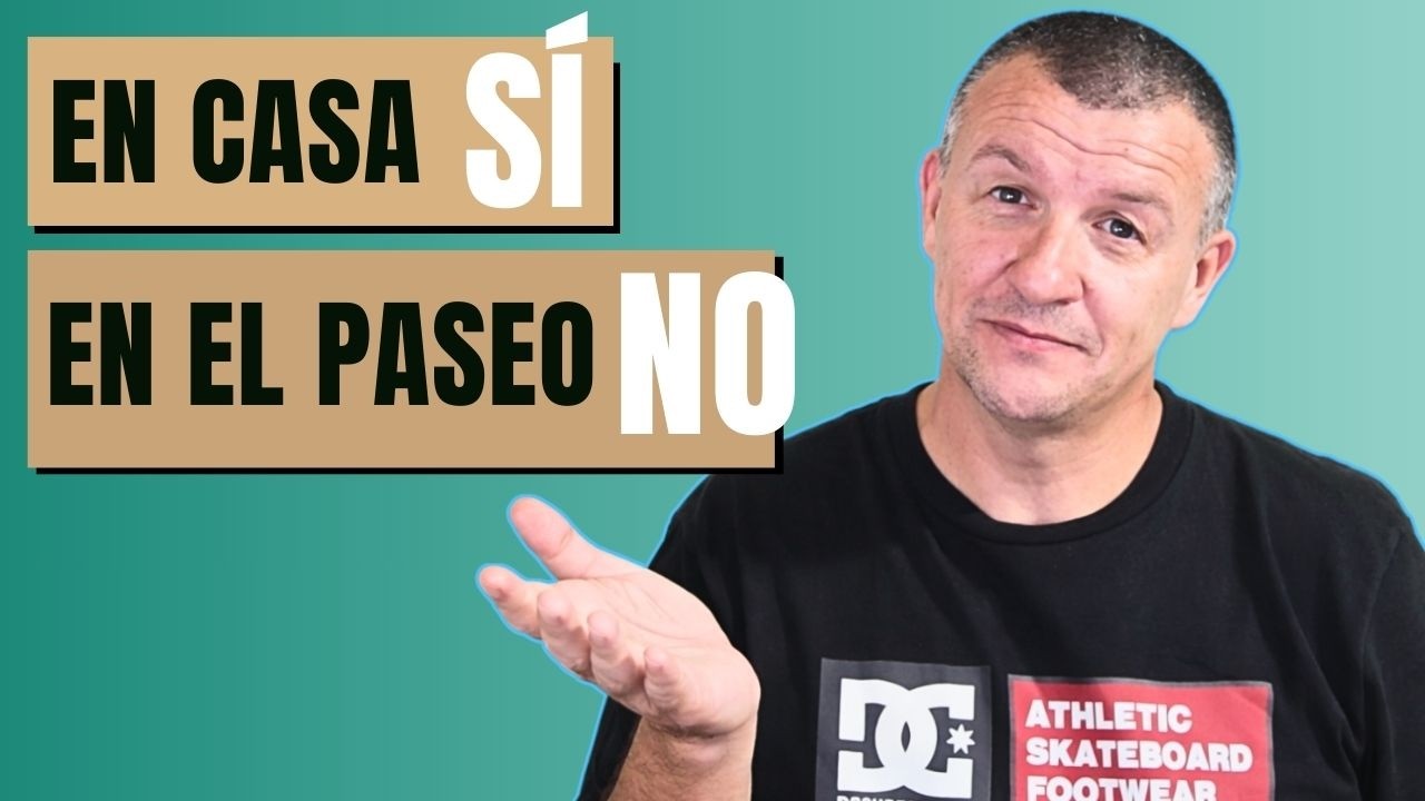 ¿Tu perro te ignora en la calle? Esto es lo que está pasando