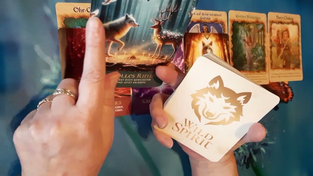 Wochenlegung 🌞 27.10- 2.11.25 🕯Du hast Feinde!🕷☠ Ende von Falschheit‼️ Positive Wende!🦋🍀🌻