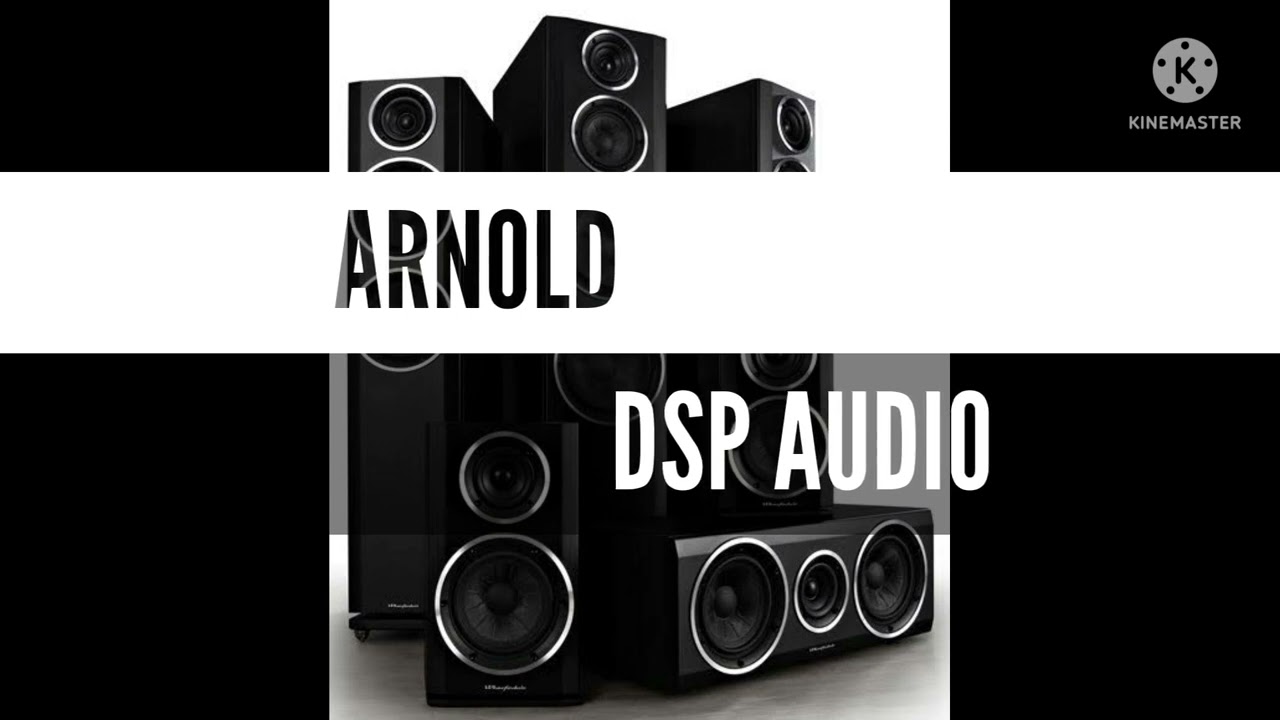 Arnold mankirat aulatk #dspaudio