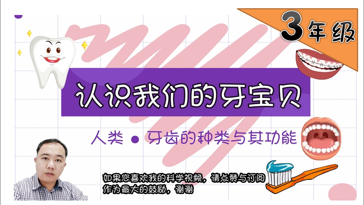 【认识我们的牙宝贝】| 【人类 PART 1/3 】3年级 | KSSR  | TSLAU