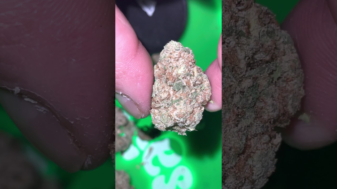 #animalmints ANIMAL MINTS cannabis strain