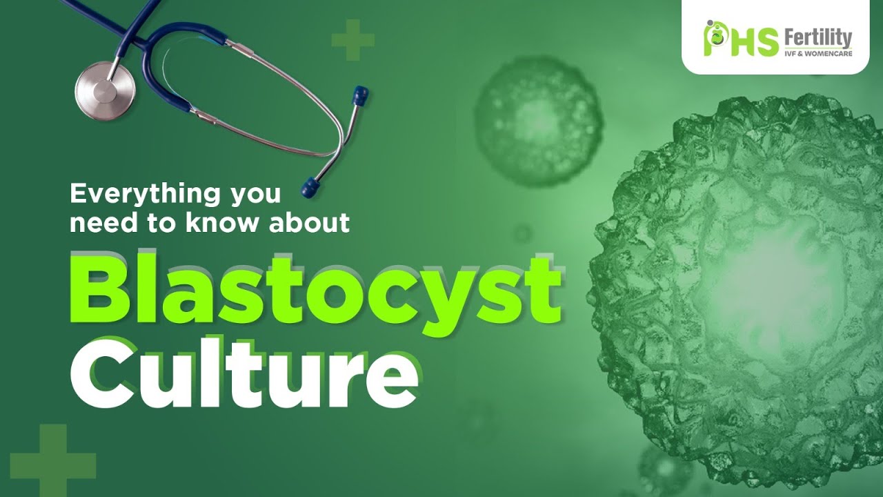 Everything you need to know about Blastocyst Culture | Dr. Prajnanika Gurung | PHS Fertility