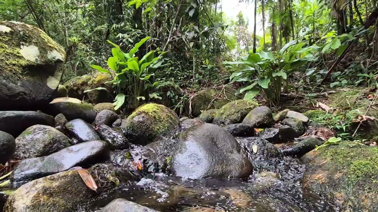 Som Contínuo de Água para Sono e Relaxamento | Rio Natural do Interior | 2 Horas