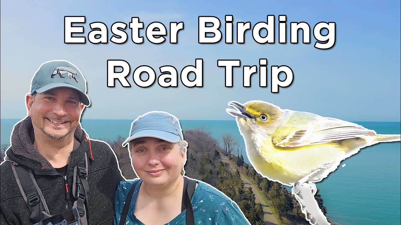 Easter Birding Road Trip across South Western Ontario   Lots of NEW BIRDS
