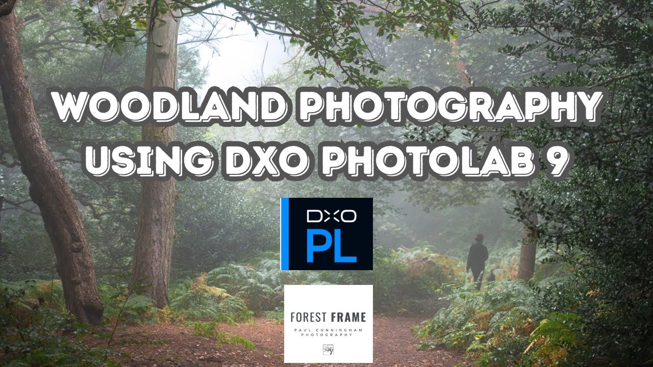 Using DXO PhotoLab 9 on Woodland Photography