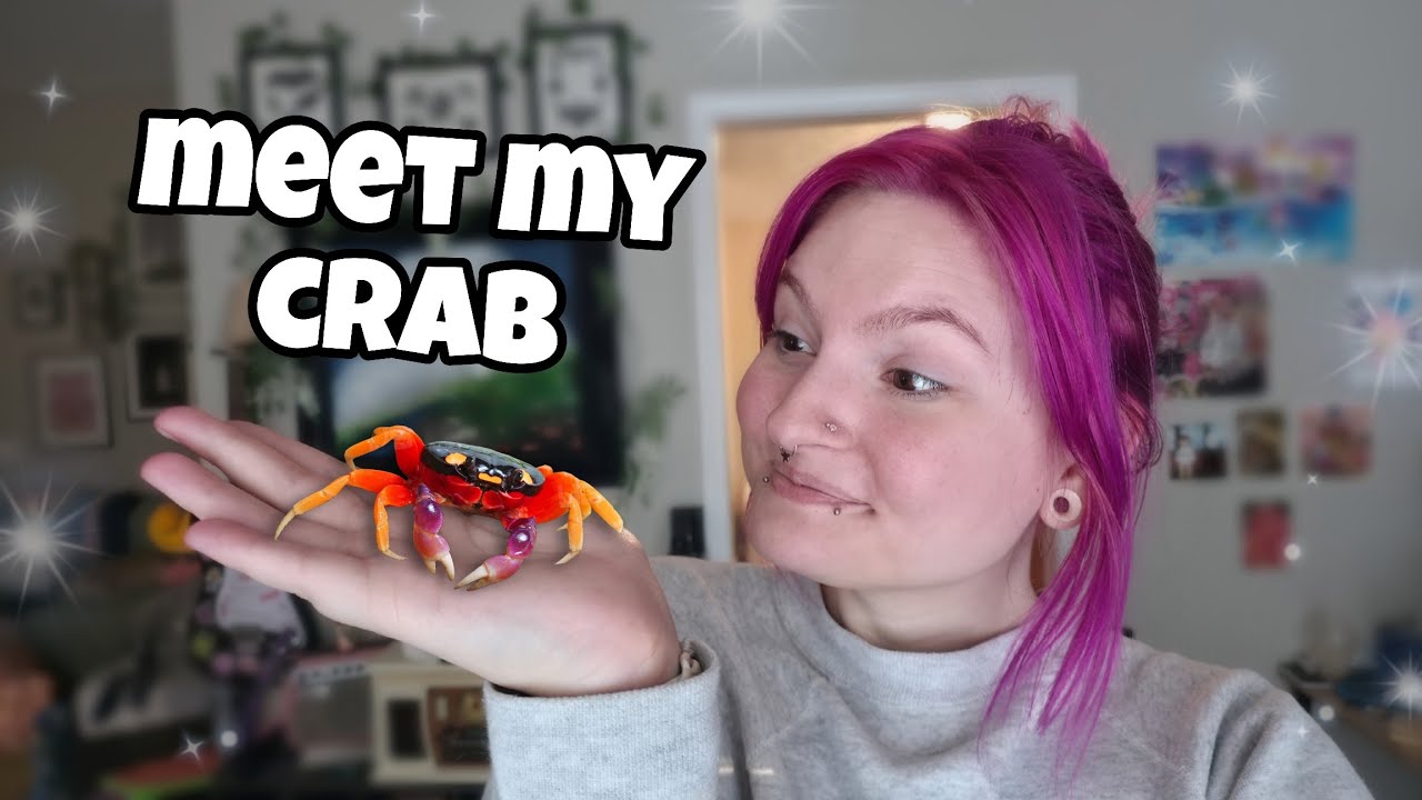 спасение лунного краба на Хэллоуин 🎃😲🦀 | видеоблог |