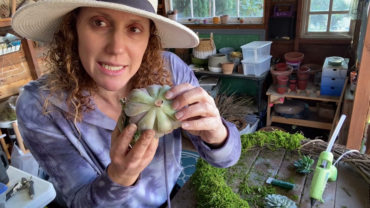 Creating a Large Succulent Grapevine Wreath
