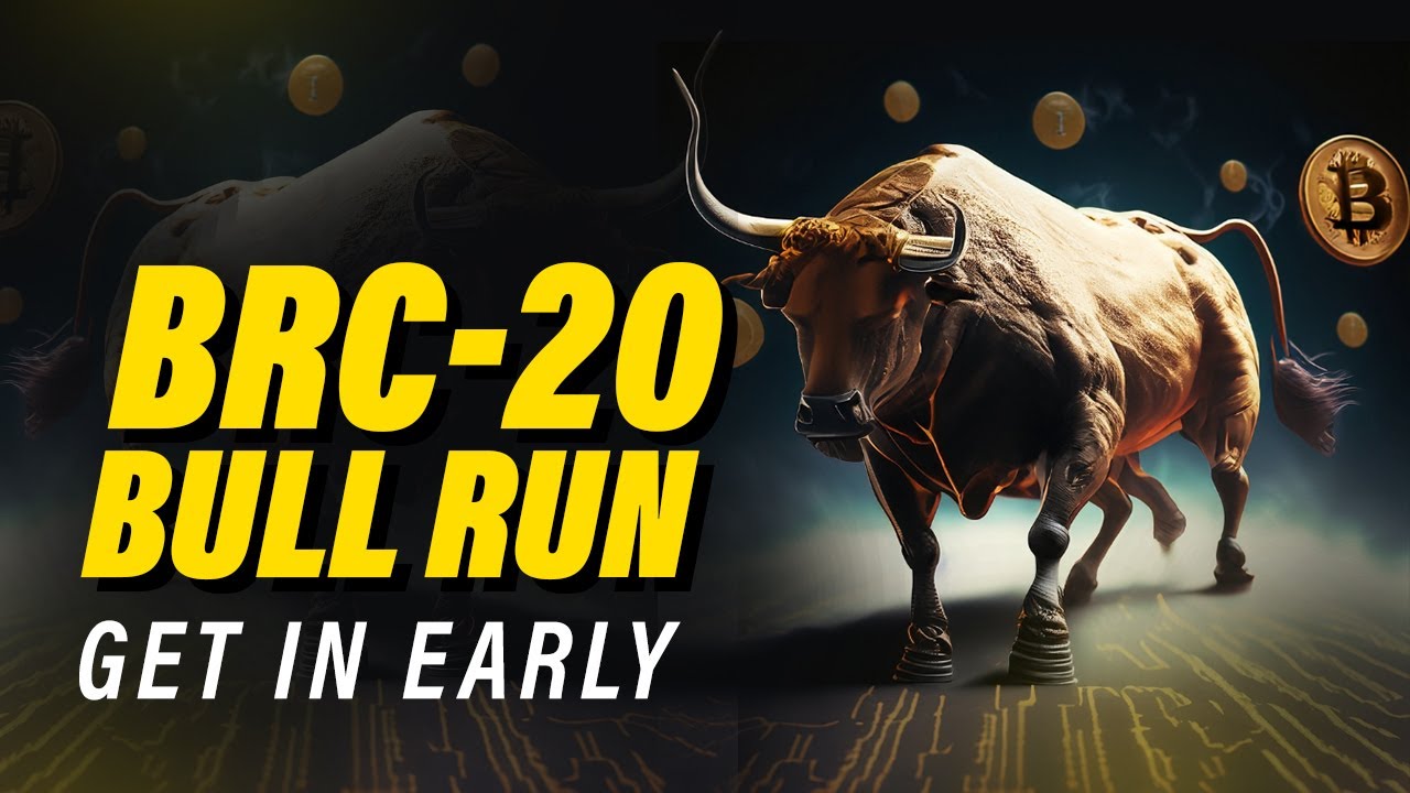 Make MILLIONS From Bitcoin BRC-20 Ordinals | How to BUY, STORE & TRADE!
