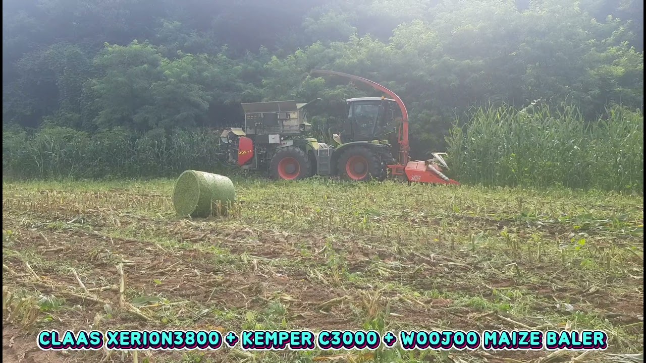 2021 maize silage(2021 옥수수 사일리지) + 우주옥수수베일러