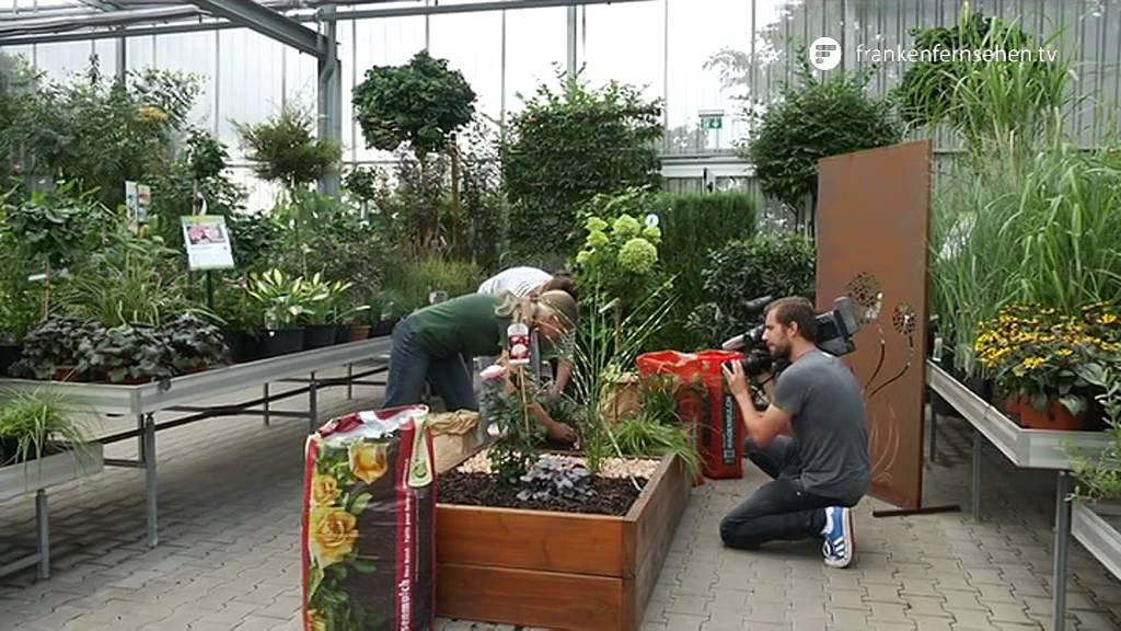 Der richtige Mulch für Ihre Pflanzen  - Blatt und Blüte Tipp der Gartenwelt Dauchenbeck