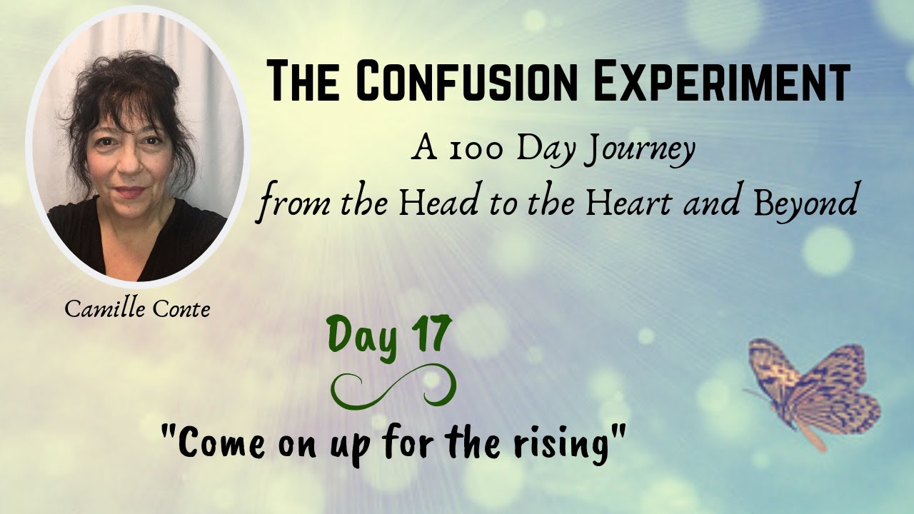 Day 17: The Confusion Experiment - 
