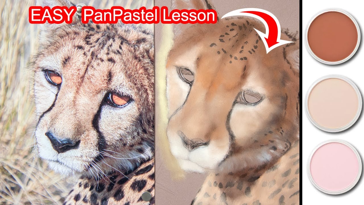 УРОК ДЛЯ НАЧИНАЮЩИХ ПО PANPASTELE - Как использовать PanPastel - МЕХОВАЯ ПОДЛОЖКА