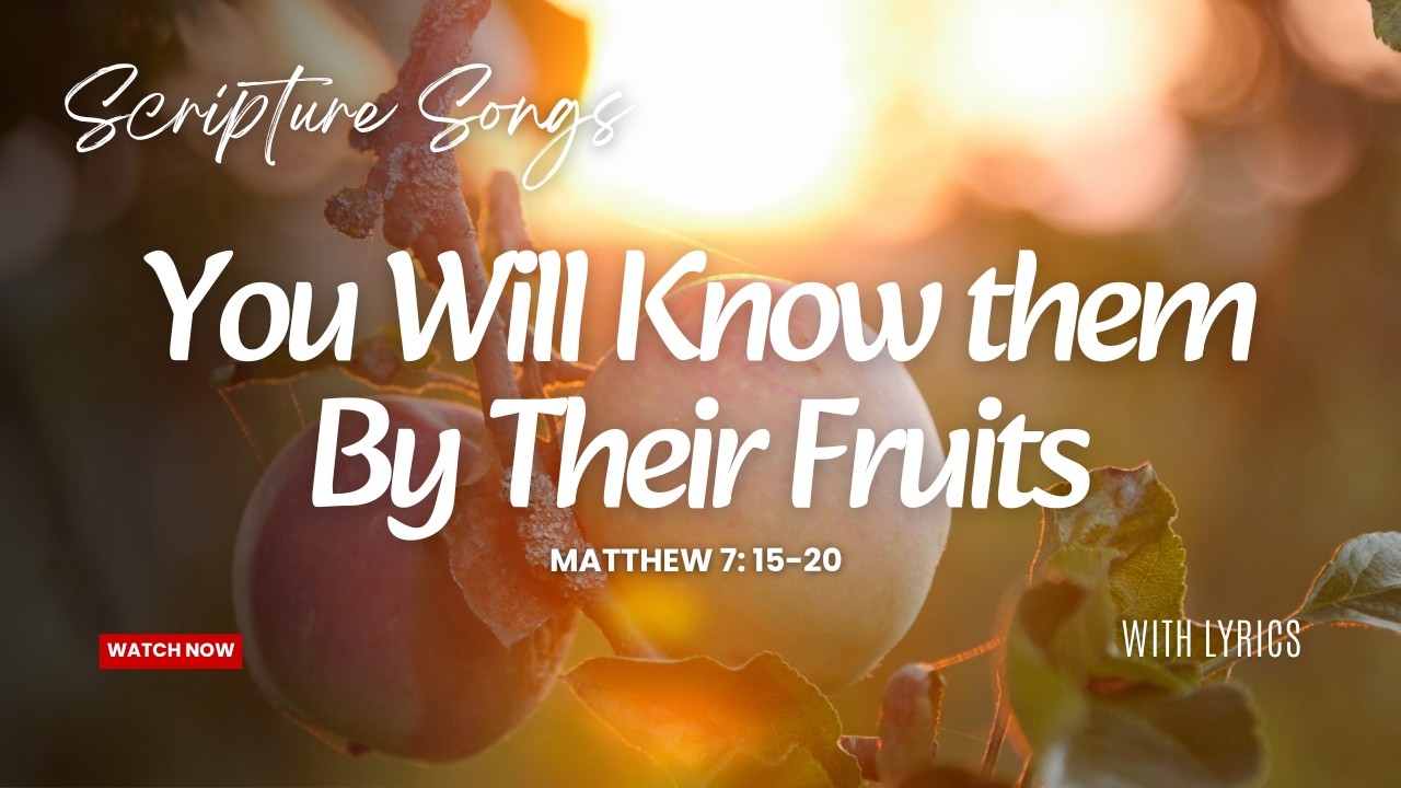 Matthew 7:15–20 | By Their Fruit You Will Know Them | Scripture Memory