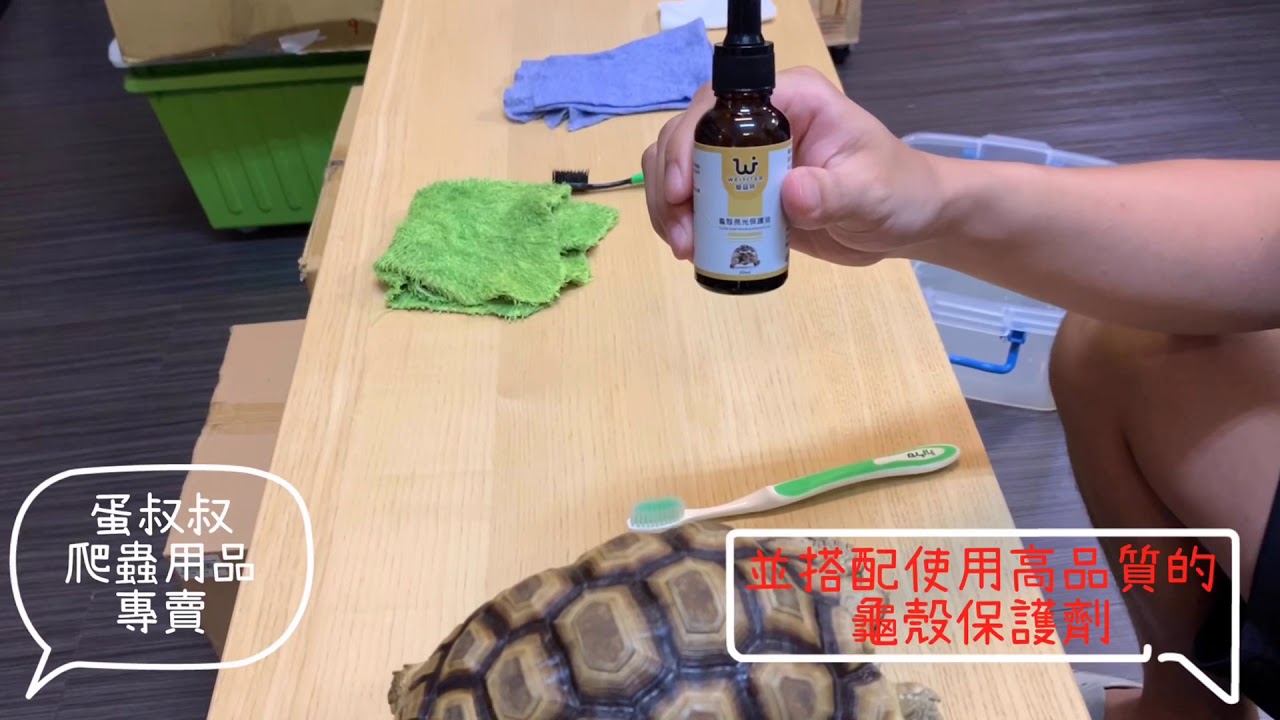 蛋叔叔爬蟲用品專賣-龜殼保護劑使用方式