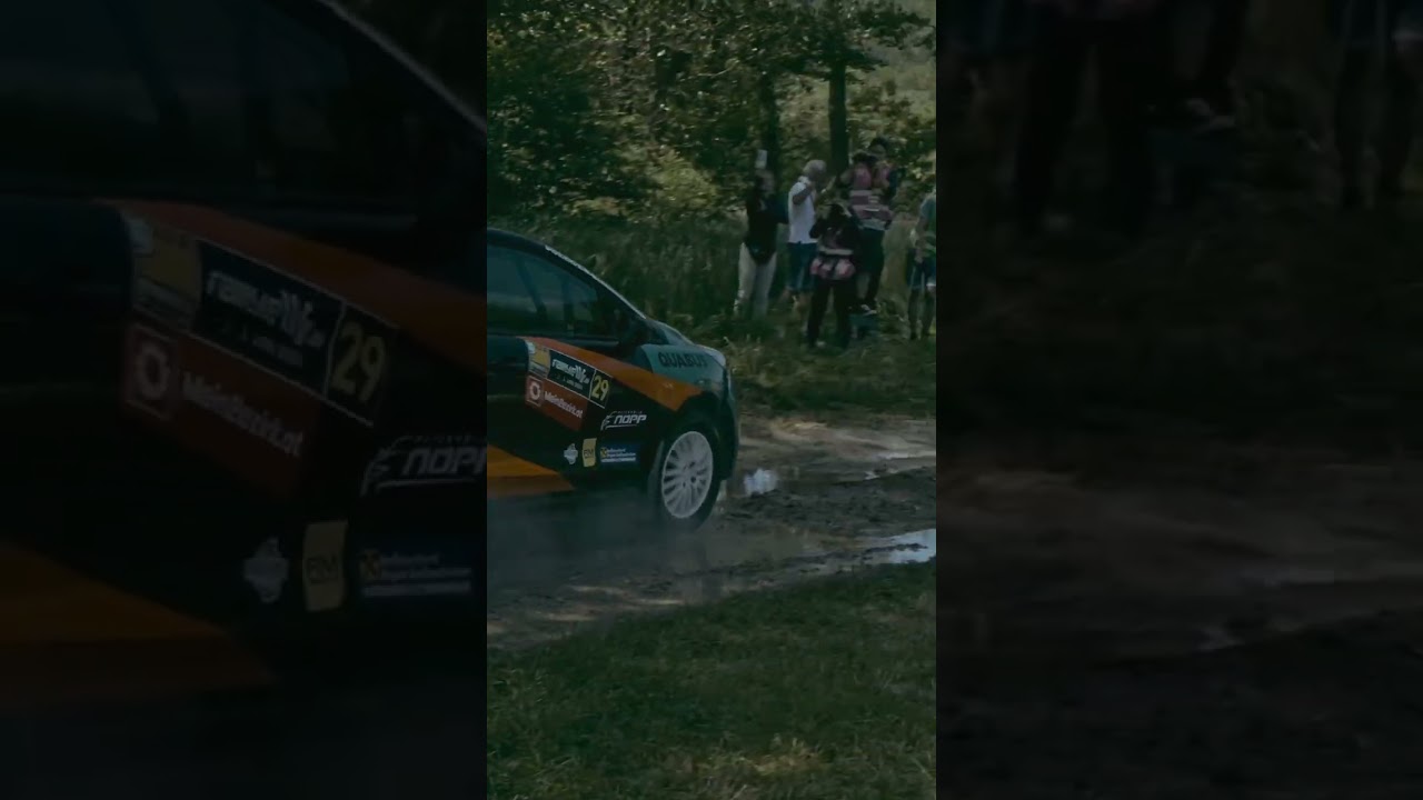 Rally W4 - Ford Fiesta ST