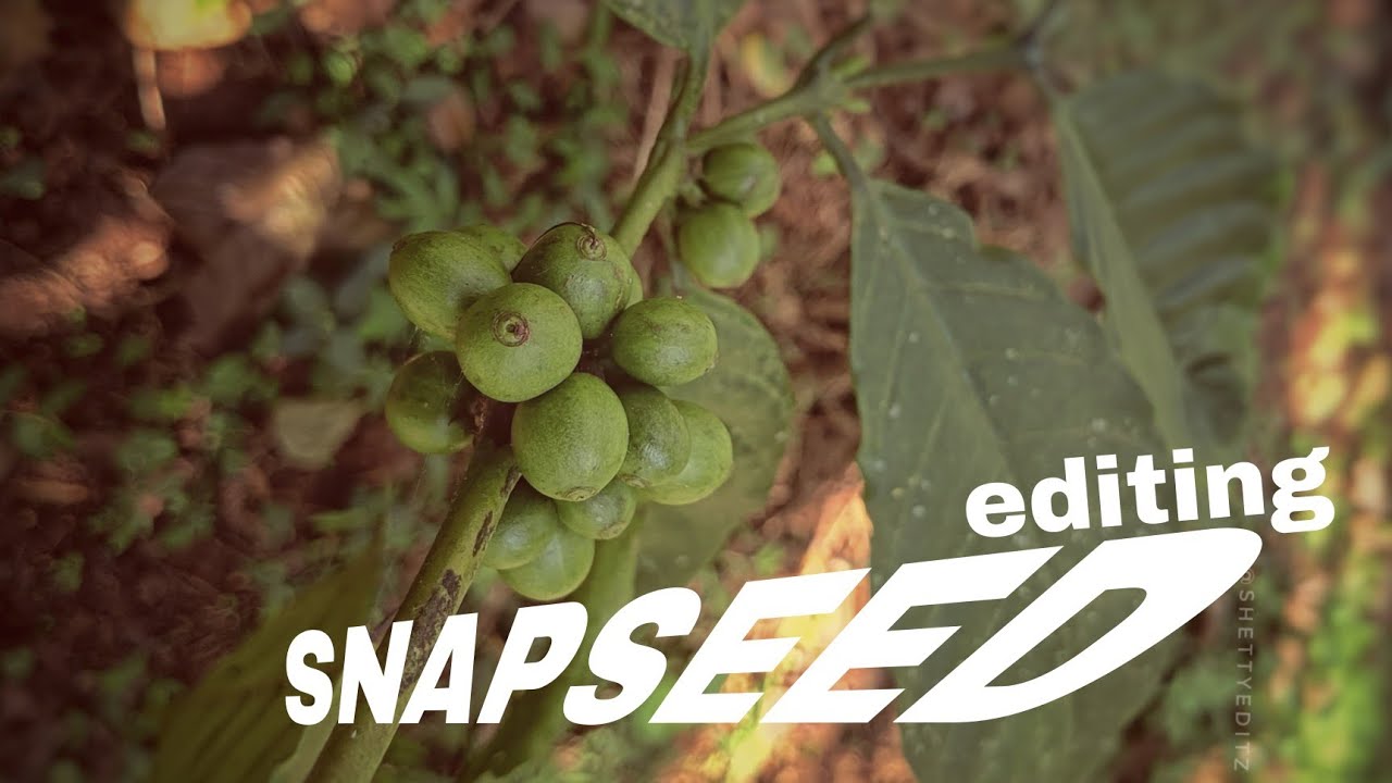 Nature photography editing #snapseededitor #sanpseeed