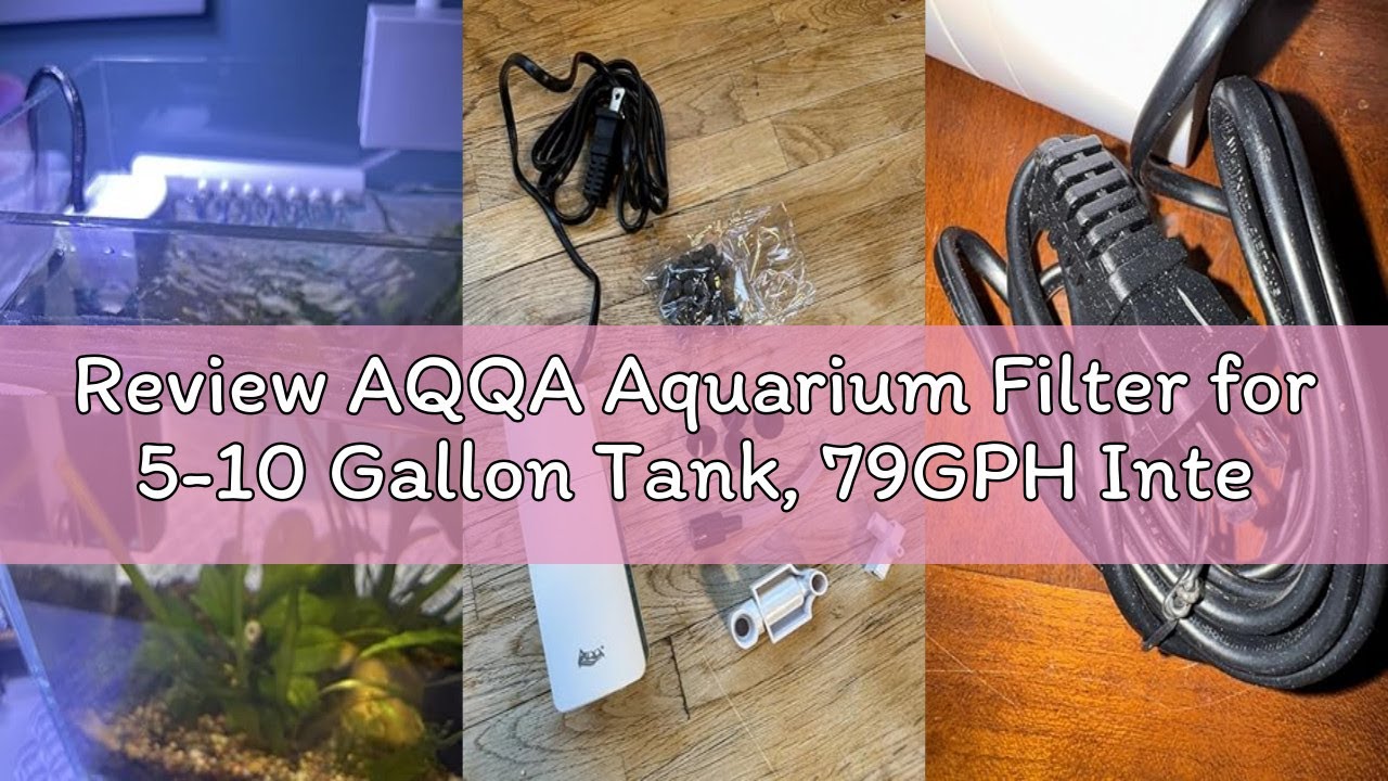 Review AQQA Aquarium Filter for 5-10 Gallon Tank, 79GPH Internal Small Fish Tank Filter with Dual Wa