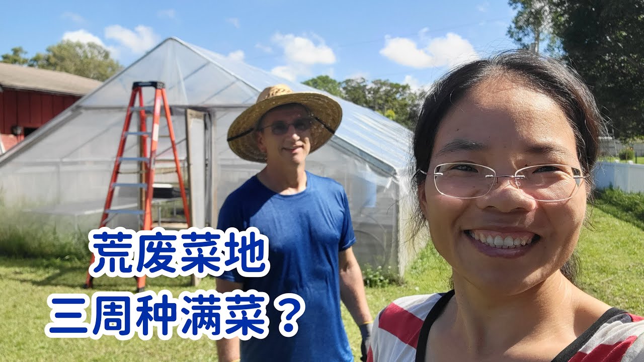 不能两全，顾得了孩子顾不了菜地，看兔妈能不能三周，把荒地变成满满的菜园