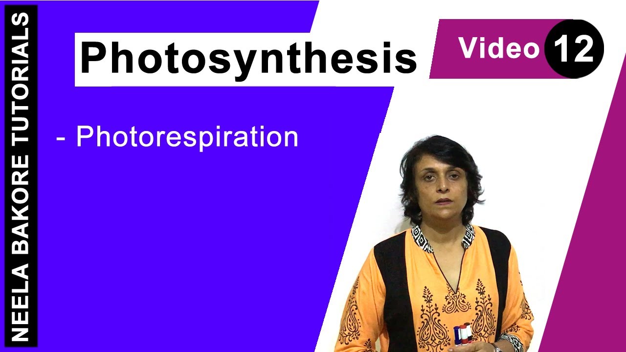 Photosynthesis | NEET | Photorespiration | Neela Bakore Tutorials
