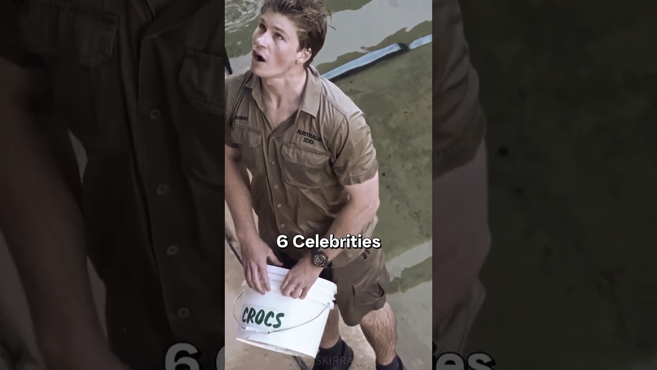 6 Celebrities Who Died in Animal Attacks - Part 2. #top6 #celebrities #steveirwin #timothytreadwell