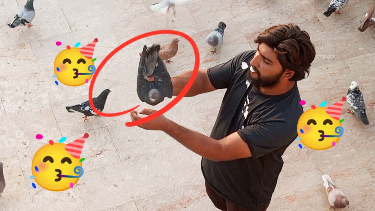 Aaj ke ladaeya Mein Ek Shikar Sajid bhai ka 🕊🕊🕊✌✌✌🥳🥳