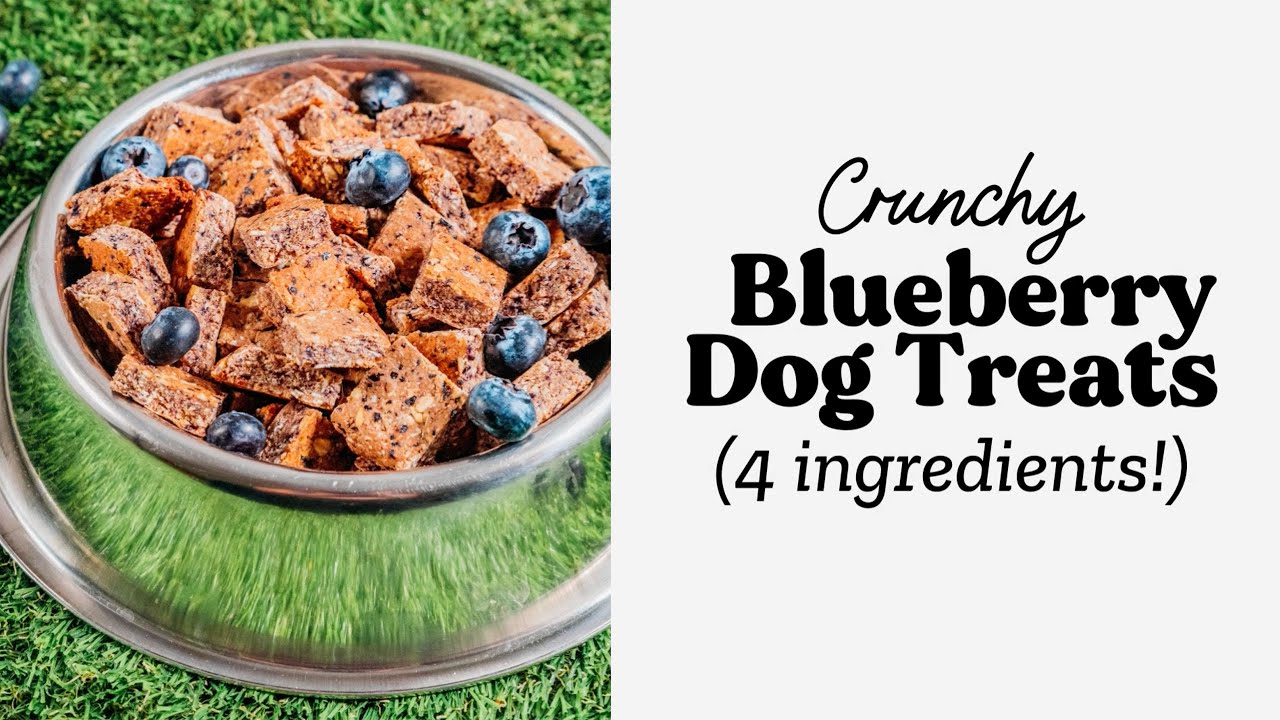 DIY Crunchy Blueberry Dog Treats