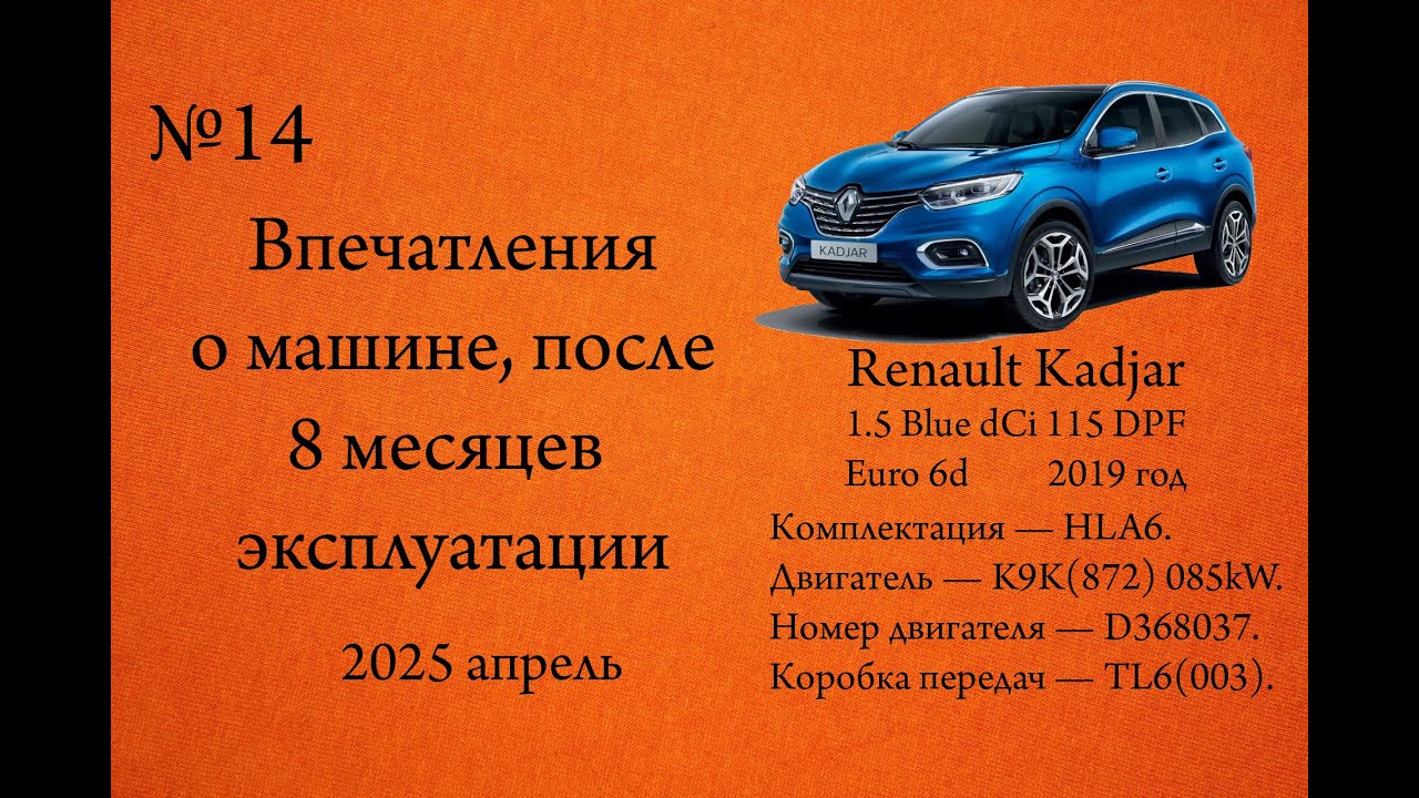 Впечатления о машине после 8 месяцев эксплуатации Renault Kadjar 1.5 Blue dCi 115 DPF Euro 6d