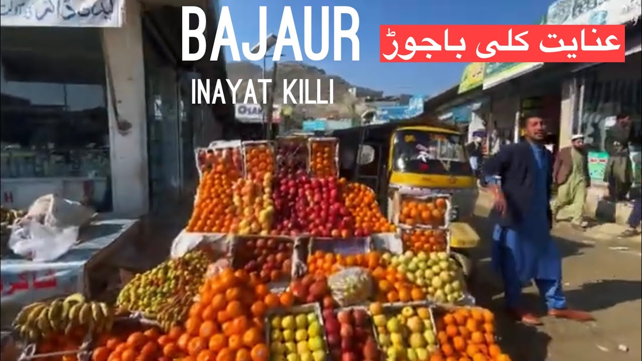 Bajaur District Khyber Pakhtunkhwa