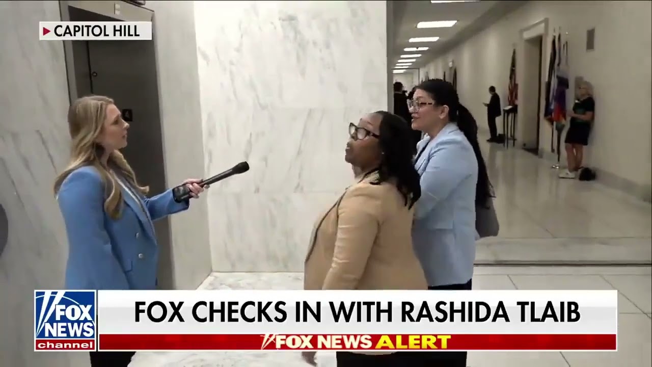 Rep. Rashida Tlaib lost it at Fox Business' Hillary Vaughn!