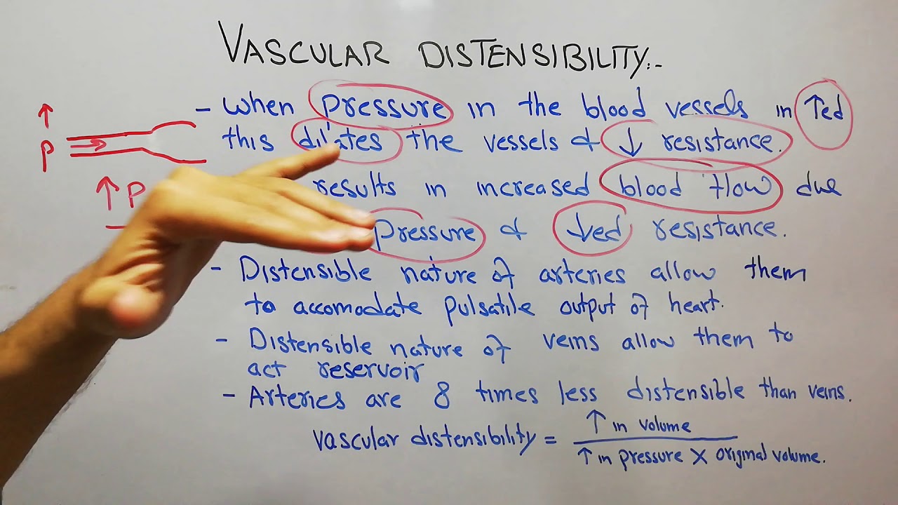 CVS physiology 65. Vascular distensibility, Veins acting as blood reservoir #blood flow #circulation