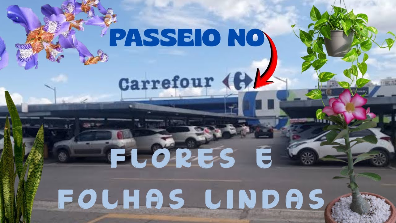 PASSEIO VERDE NO CARREFOUR SUL🍀
