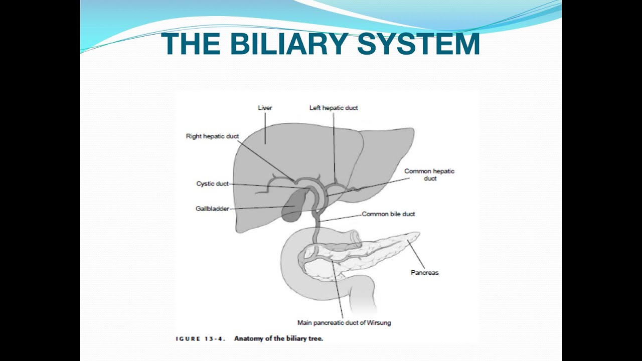 Acute Cholecystitis and Cholangitis