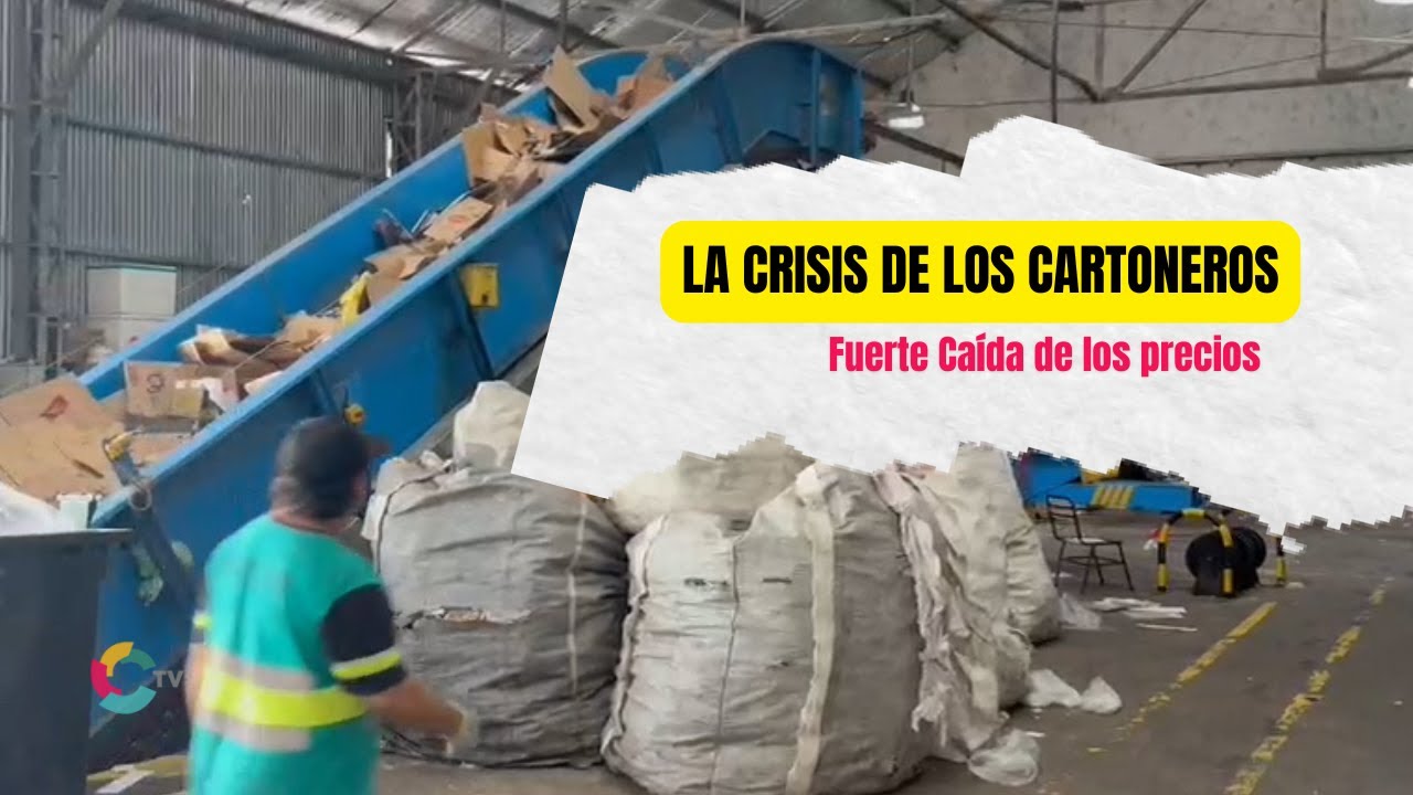 La Crisis de los Cartoneros - Caída de los precios