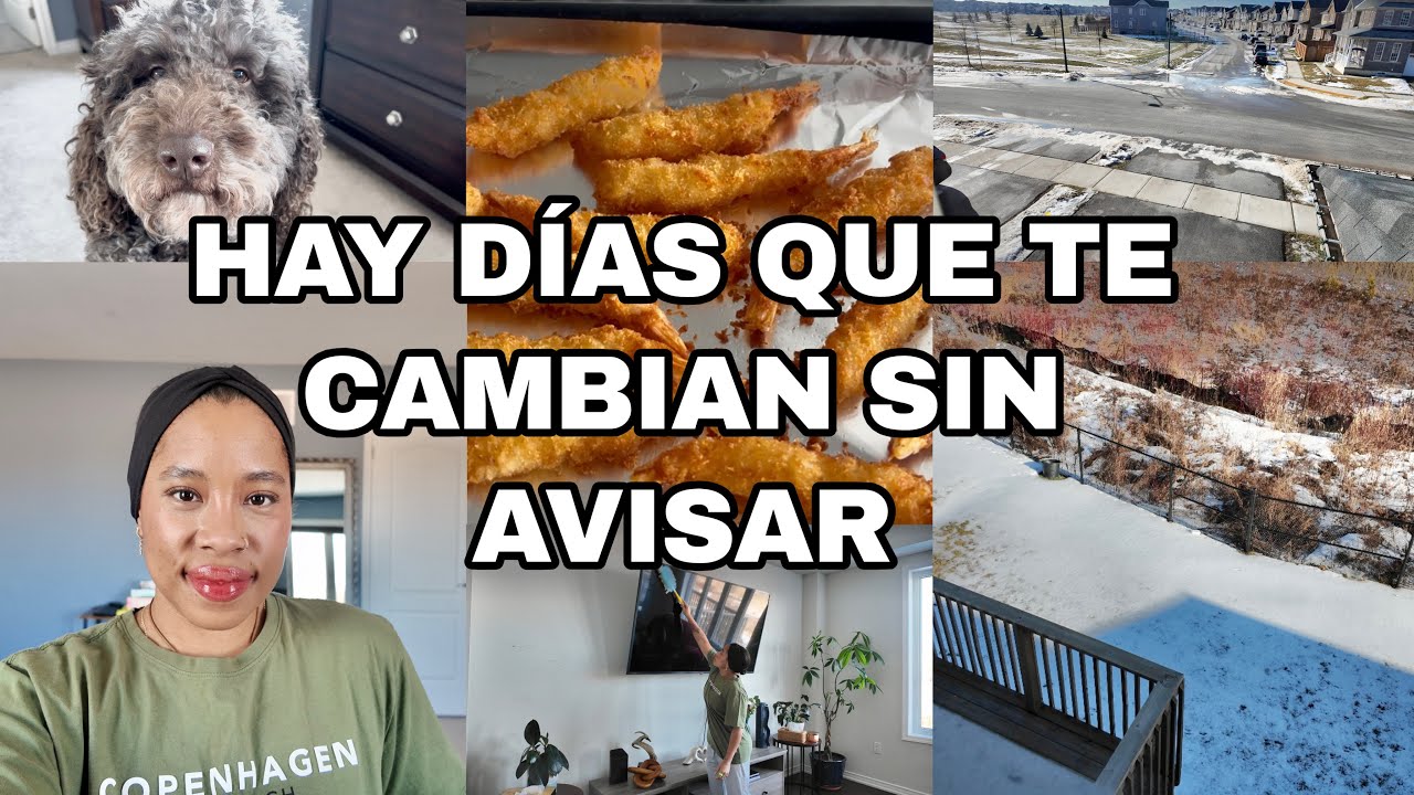 🌤️ CUANDO EL SOL TE ABRAZA DESPUÉS DE TANTO FRÍO HOY NO QUERÍA LIMPIAR PERO ERA NECESARIO ☺️