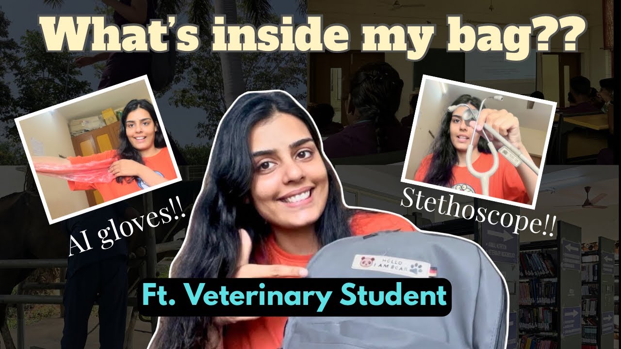 What’s inside a Veterinary Student’s bag? Veterinary Hospital Essentials | Ft. Deepika