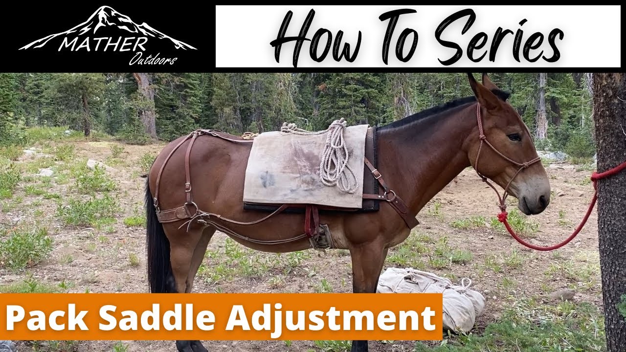 Pack Saddle Adjustment