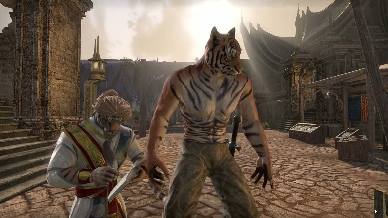 ESO Elsweyr Music and Ambience, Rimmen Marketplace