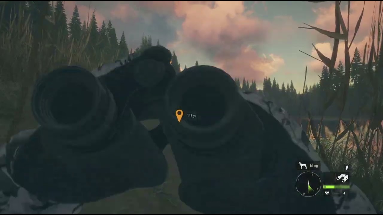 theHunter Cotw potential diamond Bear
