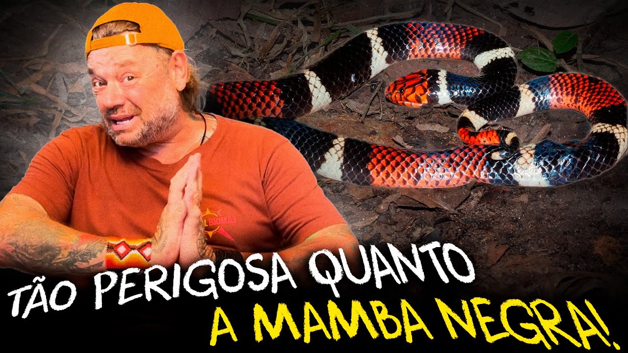 AS 5 SERPENTES DESCONHECIDAS QUE V&Atilde;O TE SURPREENDER!