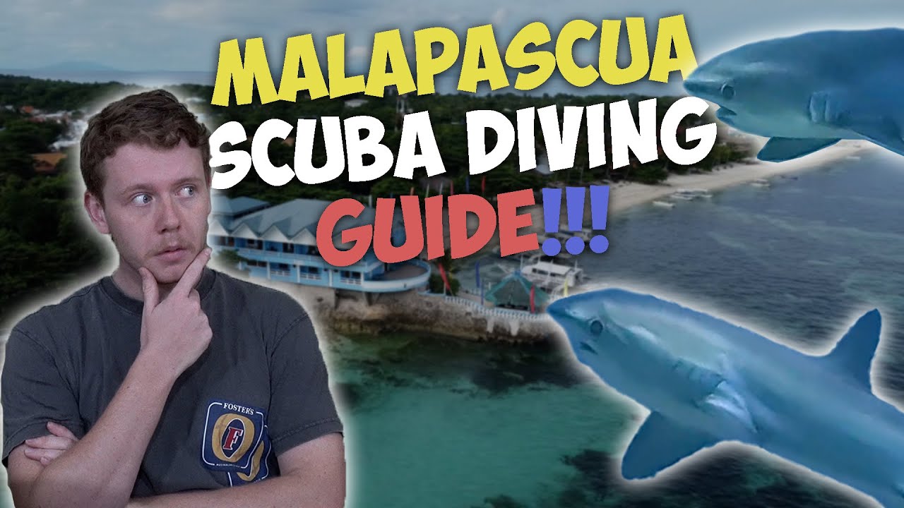 THE Ultimate guide! To Scuba Diving in Malapascua & Gato Island! Philippines Dive Guide 🇵🇭 🦈