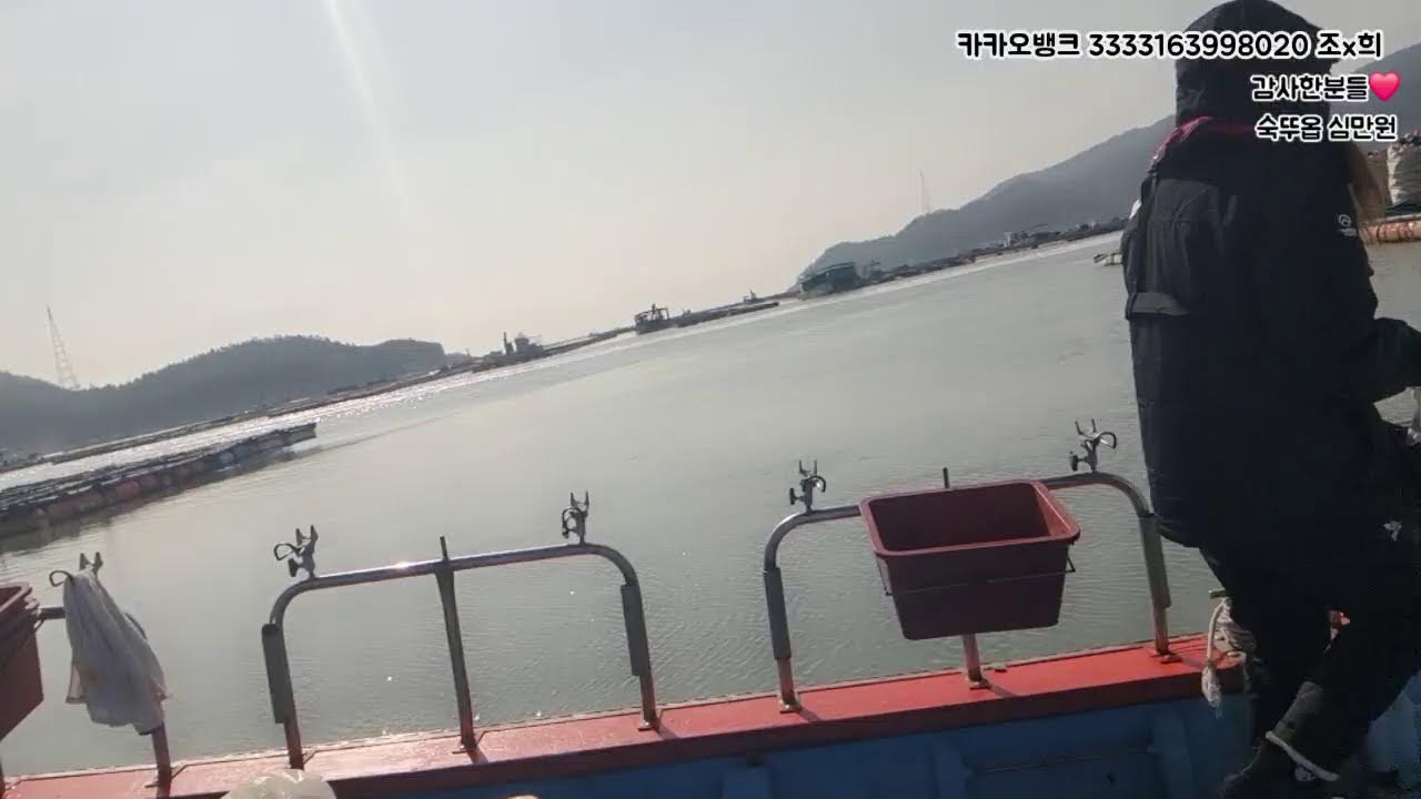 (라이브)완도감성돔낚시 #참돔#붉바리#쏨뱅이#광어#감성돔#돌돔#원투낚시#갑오징어#문어#