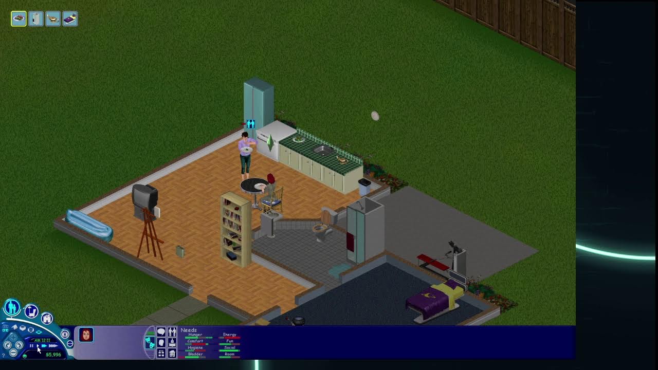 The Sims 1 nostalgia