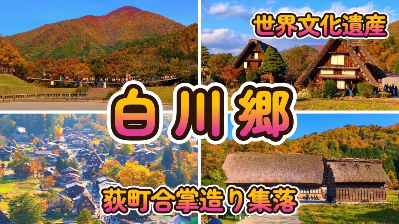 【白川郷】世界文化遺産で国選定 重要伝統的建造物群保存地区である白川郷 荻町合掌造り集落の様子。