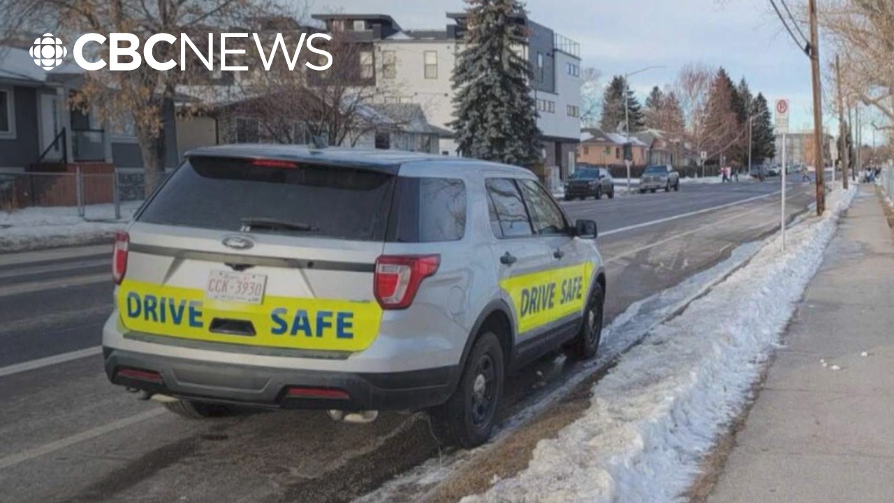 Calgary city council looking to improve road safety after pedestrian deaths
