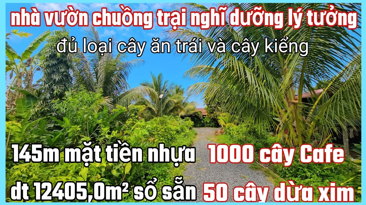 Nhà vườn vườn cây ăn trái tặng hết chuồng trại chăn nuôi 145×73×102 dt 12405,0m² cln khu dân cư 