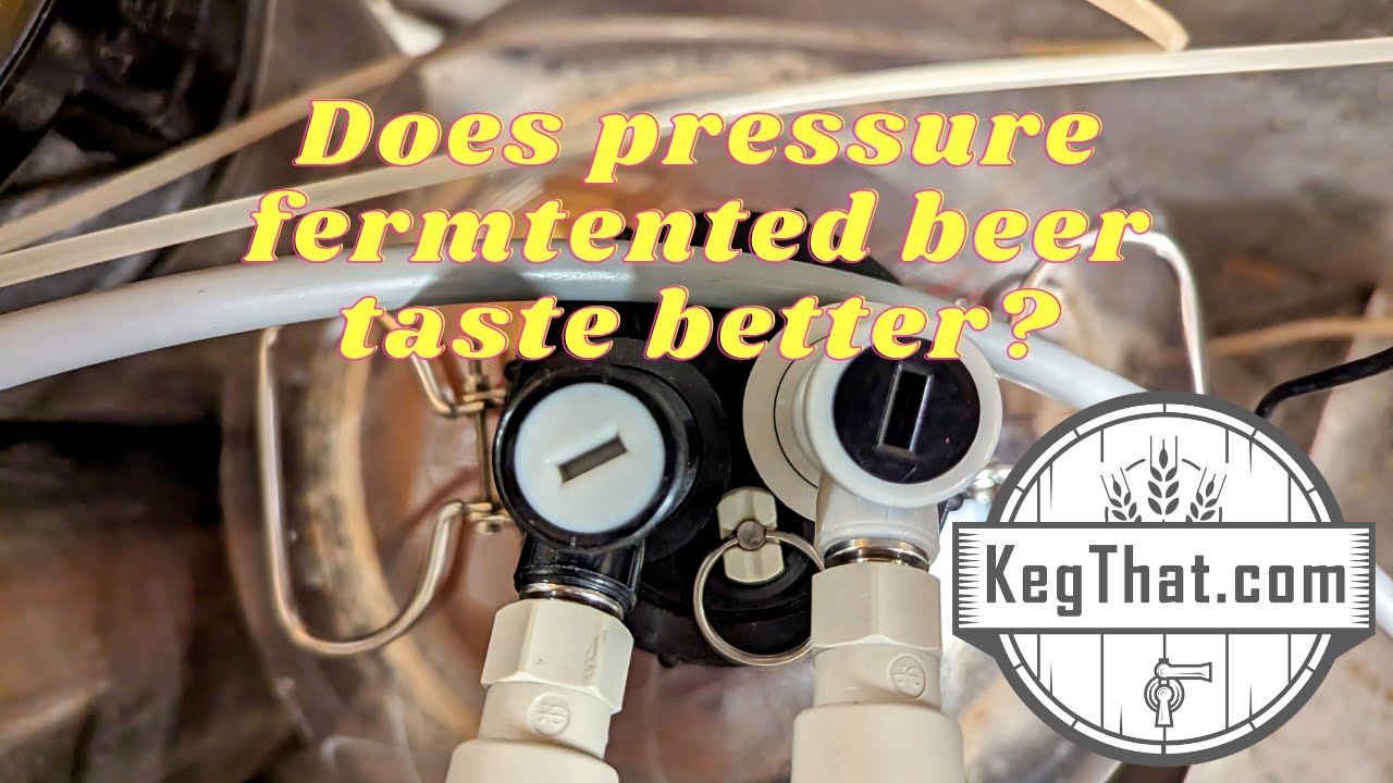 How To Use a Keg King Pressure Fermenter Pt 2: Tasting