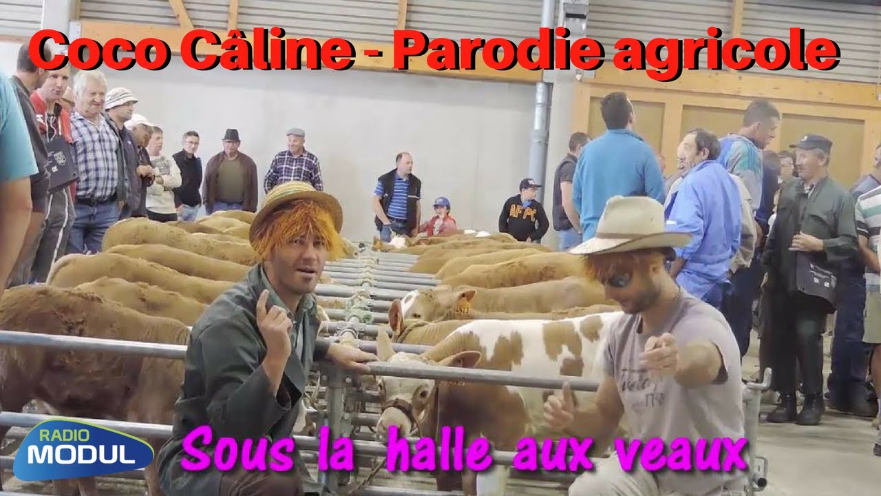Coco Câline (Parodie agricole) - L'idée Fixe