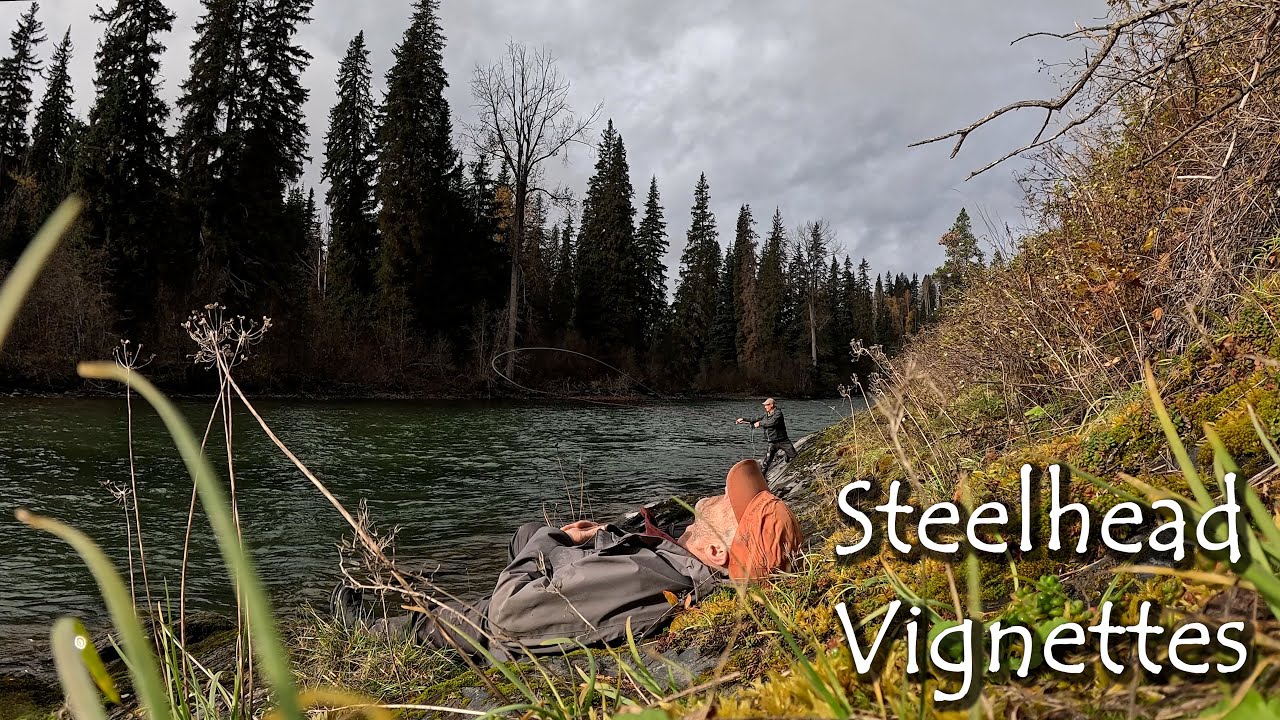 Steelhead Vignettes