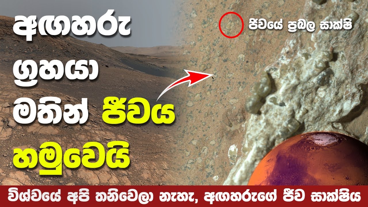 අගහරු ග්‍රහයා මතින් ජීවයේ ප්‍රබල සාක්ෂි හමුවෙයි | NASA Finds Life on Ancient Mars