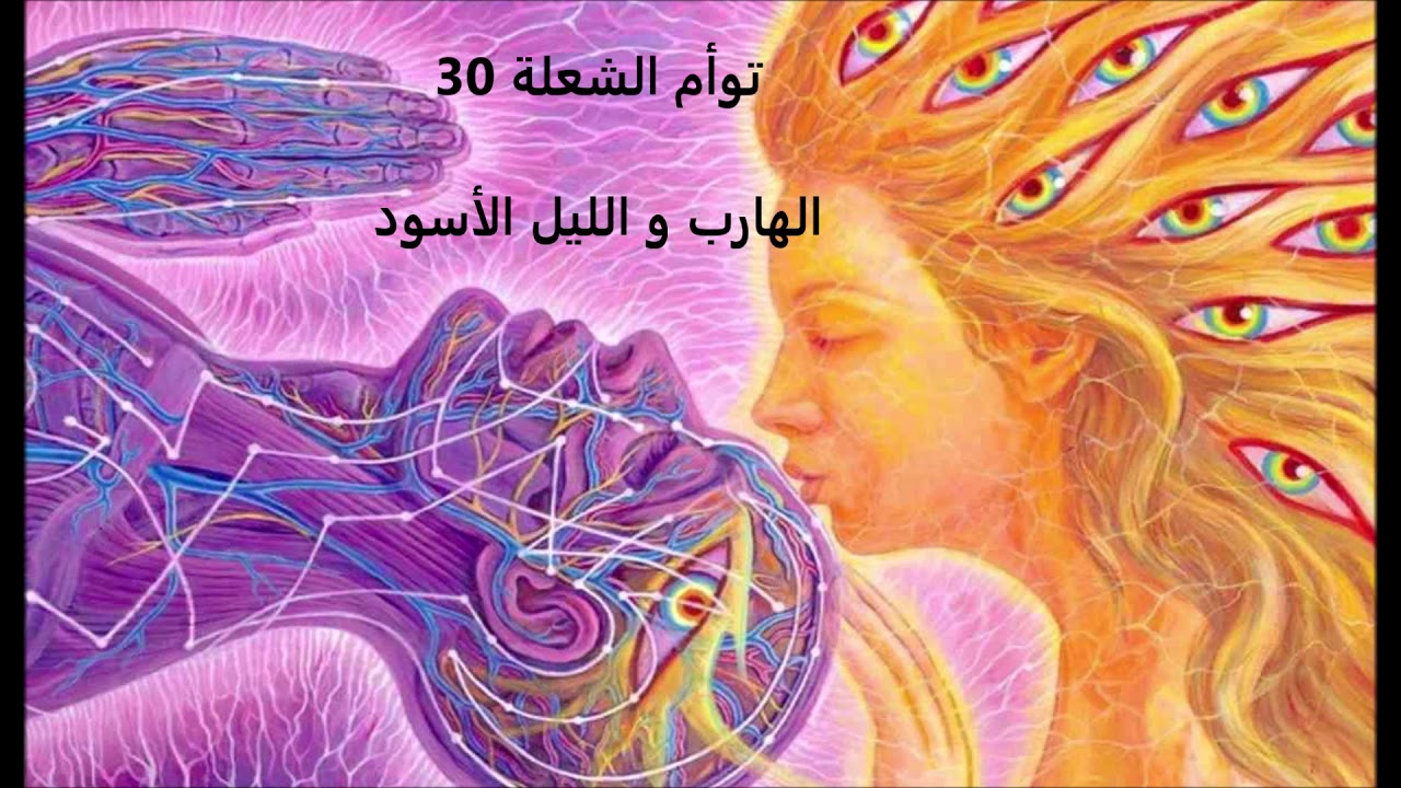 توأم الشعلة 30 -  الهارب و الليل الأسود